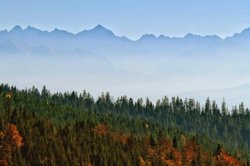 Turbacz, Korona Gór Polski fot. Lesław Sławiński