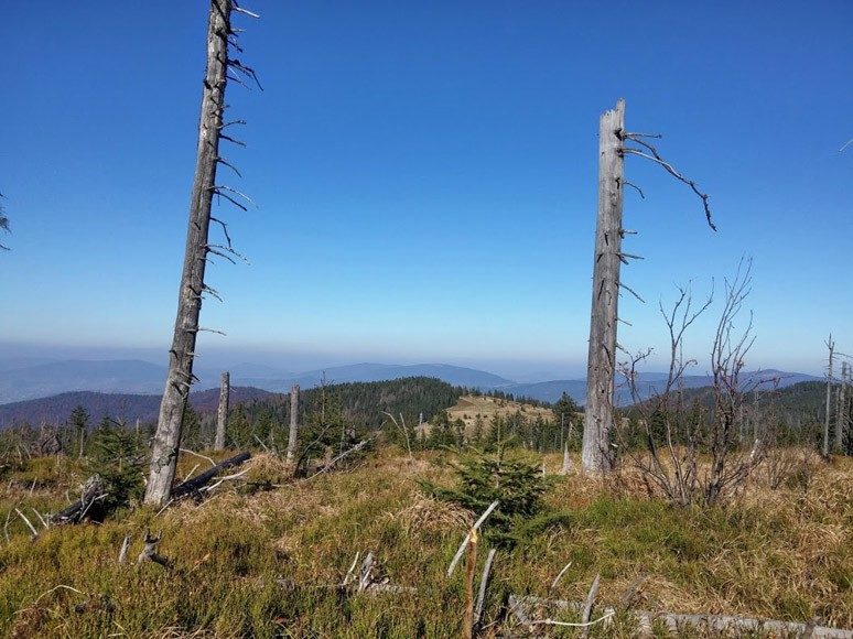 Turbacz, Korona Gór Polski fot. Wojciech Duś